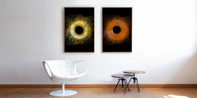 Double tableau d'iris installé dans un salon