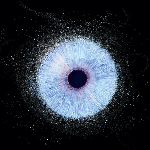 Photographie d'iris solo, iris bleu