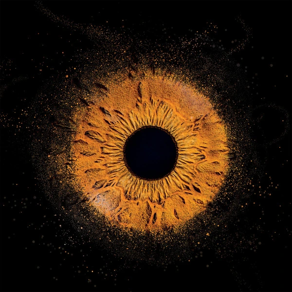 Iris marron clair, sur fond noir