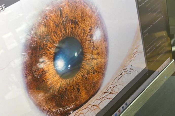 Photo brute d'un iris avant le processus artistique